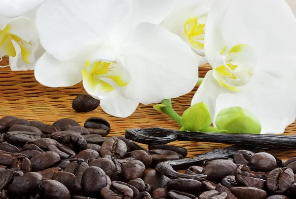 Для гурманів кава інгредієнти — стокове фото