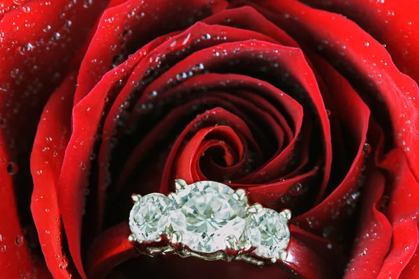 Pierścionek zaręczynowy wewnątrz czerwona róża — Zdjęcie stockowe