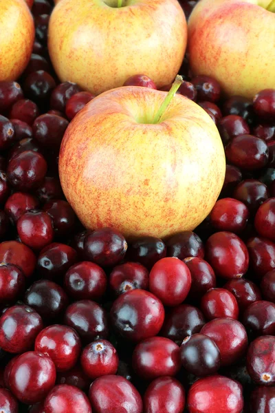 Background Delicious Fresh Apples Cranberries — Stock Photo, Image