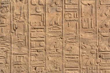Hieroghlyphs in Karnak temple clipart