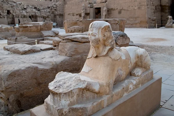 Sphinx i karnak-templet — Stockfoto