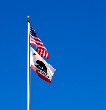 Amerikan ve Kaliforniya devlet bayrakları sallayarak önce bir açık mavi gökyüzü