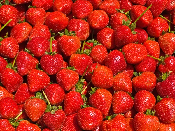 Fresas rojas maduras en un mercado de agricultores —  Fotos de Stock