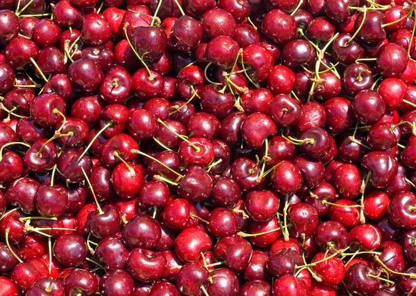 stock image Ripe Red Cherries at a Farmers Market