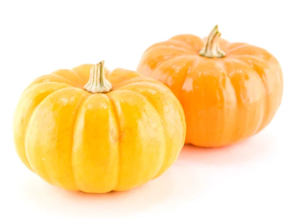Mini Pumpkins Isolated on a White Background — Stock Photo, Image