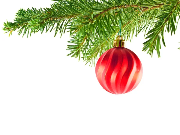 Adorno de Navidad del árbol de Navidad colgando de una rama perenne aislado — Foto de Stock