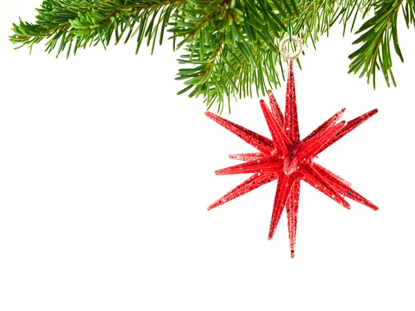 Adorno de Navidad del árbol de Navidad colgando de una rama perenne aislado — Foto de Stock
