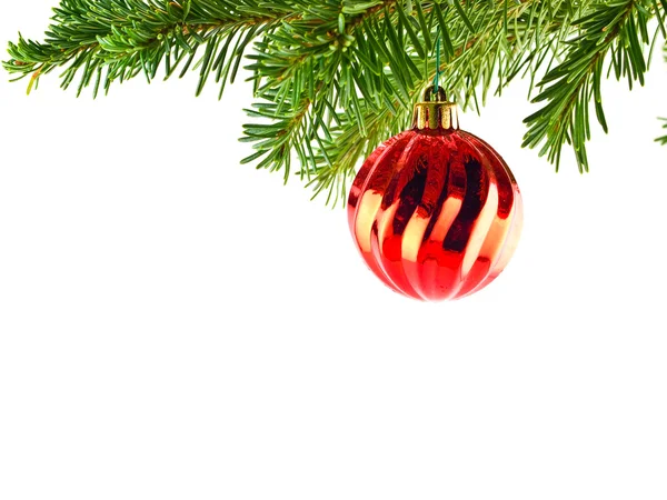 Christmas Tree Holiday Ornament Hanging from a Evergreen Branch Isolated Stock Image