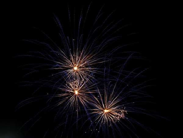 stock image Long Exposure of Fireworks Against a Black Sky