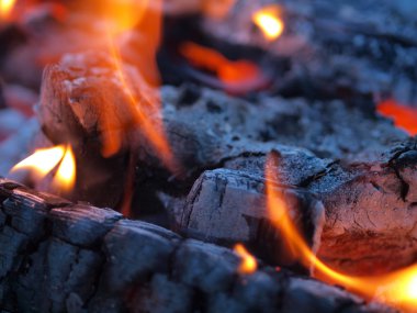 Background of Flames and Glowing Embers in a Campfire