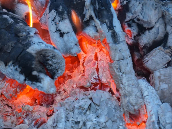 Φλόγες Και Λαμπερά Κάρβουνα Φωτιά Κατασκήνωσης — Φωτογραφία Αρχείου