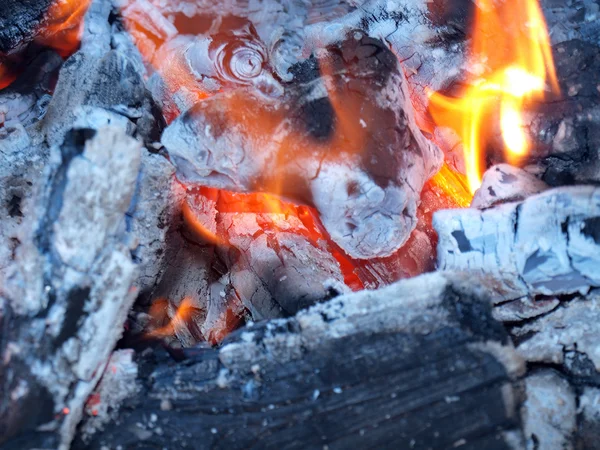 Fond Flammes Braises Dans Feu Camp — Photo