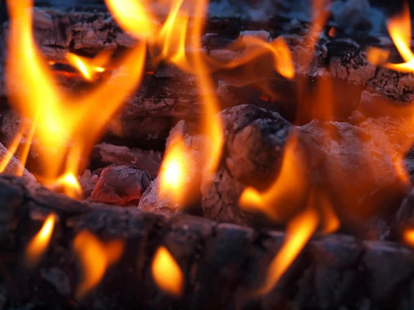 Lángok Izzó Parázs Háttere Tábortűzben — Stock Fotó