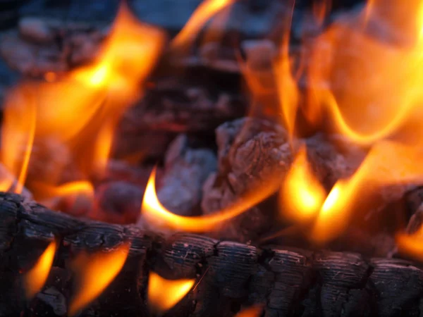 Background of Flames and Glowing Embers in a Campfire — Stock Photo, Image