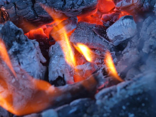 Achtergrond Van Vlammen Gloeiende Vlammen Een Kampvuur — Stockfoto