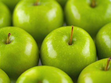 Green apples arranged in rows