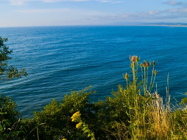 Cliffside видом на океан — стокове фото
