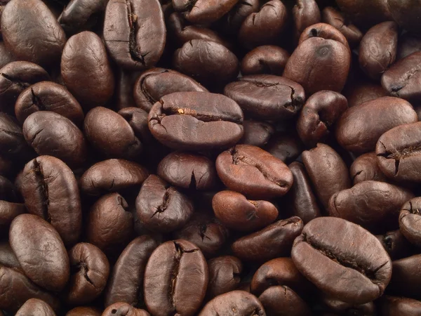 Kaffebønner, bakgrunn – stockfoto