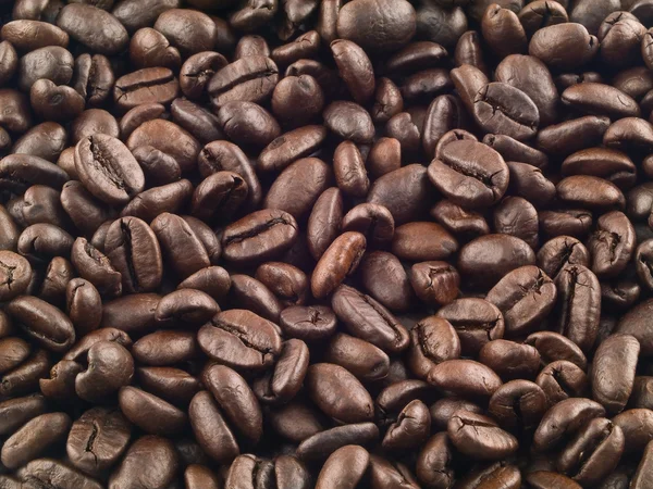 Granos de café fondo — Foto de Stock