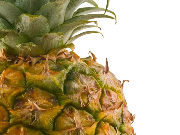 A single pineapple isolated on white, cropped close — Stok fotoğraf