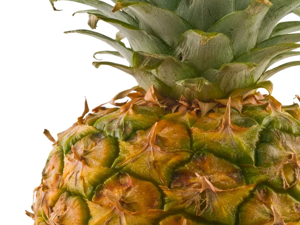 En enda ananas isolerad på vit, beskurna nära — Stockfoto