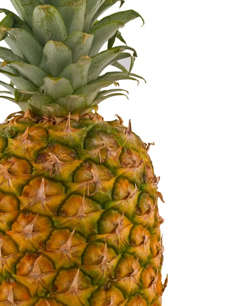 A single pineapple isolated on white, cropped close Stock Photo