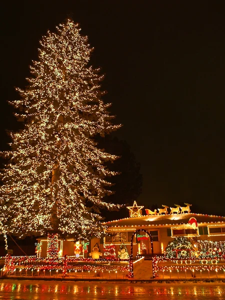 A large evergreen tree is decorated with from top to bottom with Christmas