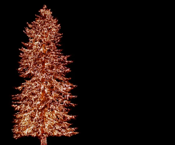 Велика вічнозелена ялинка прикрашена зверху вниз з Різдвом — стокове фото
