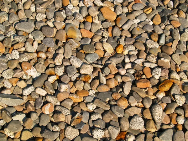 Achtergrond van kleine ronde steentjes met volledige zonlicht — Stockfoto