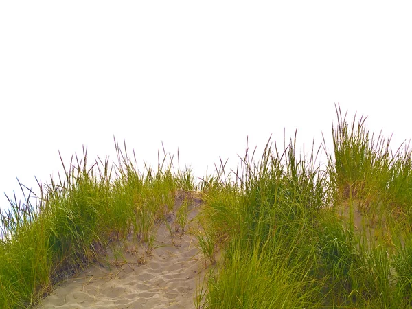 Sentier sablonneux avec herbe de plage menant vers le haut d'une colline avec Copyspace — Photo