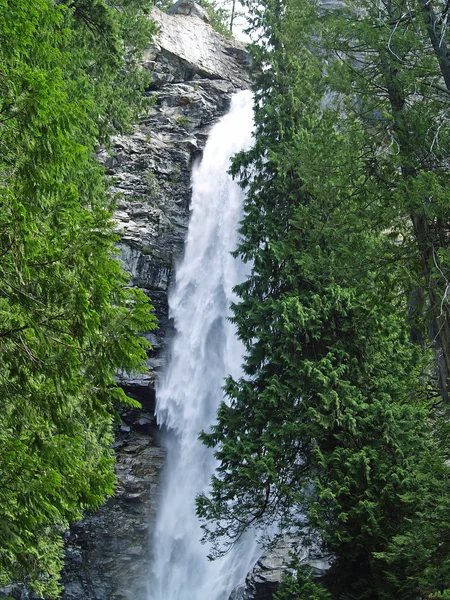 美丽的山瀑布四周树木繁茂的原野 — 图库照片