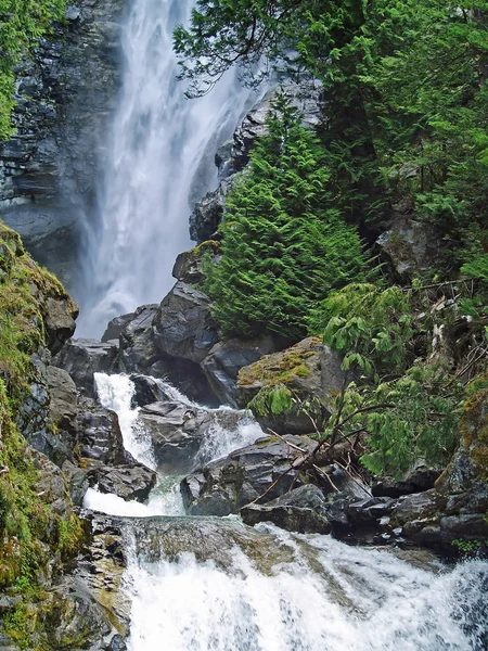 Belle cascade de montagne entourée de forêt sauvage — Photo