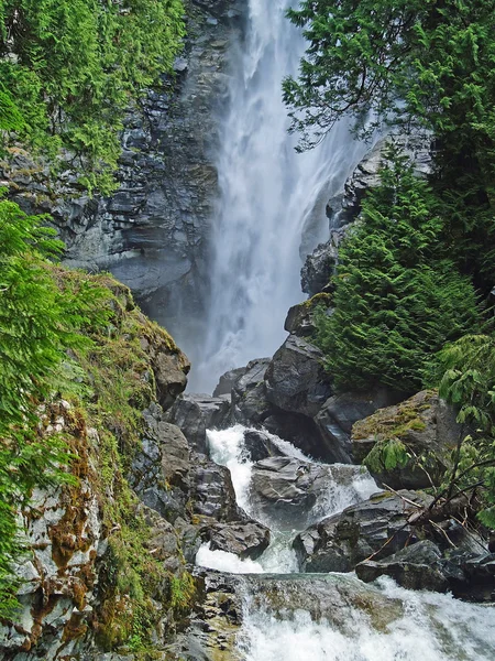 Belle cascade de montagne entourée de forêt sauvage — Photo