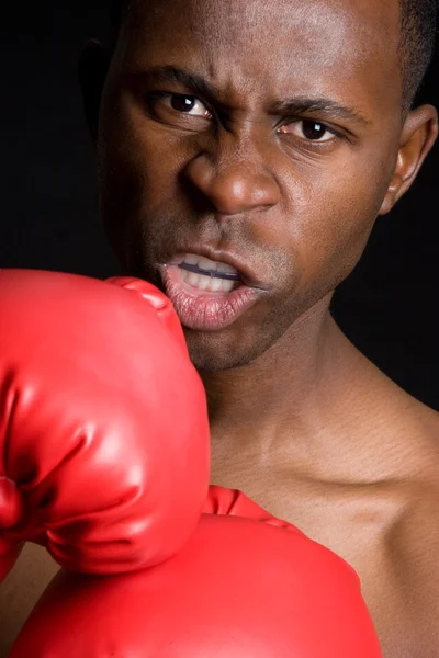 Profesionální boxer — Stock fotografie