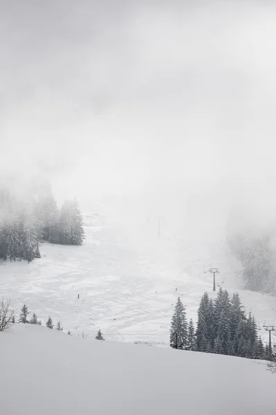 Nebel im Winterwald im Gebirge — Stockfoto