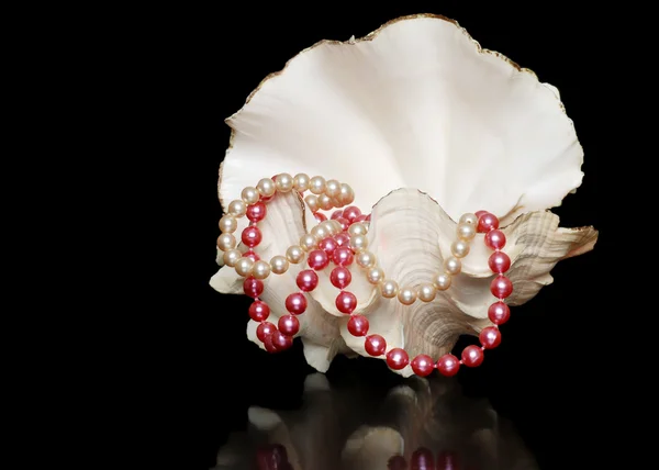 Collares de perlas en una concha de mar abierto —  Fotos de Stock
