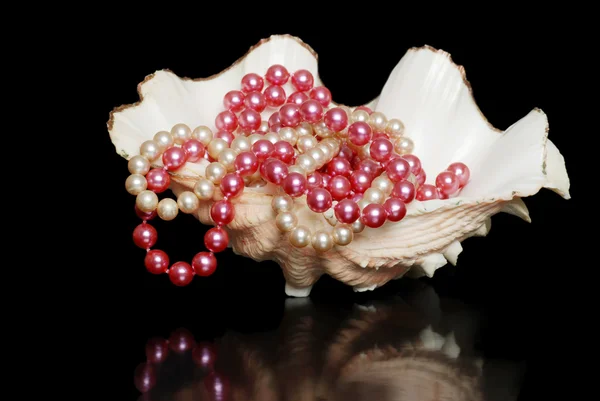 シェルで真珠のネックレス — ストック写真