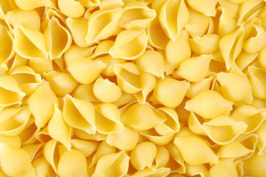 Shell pasta clipart