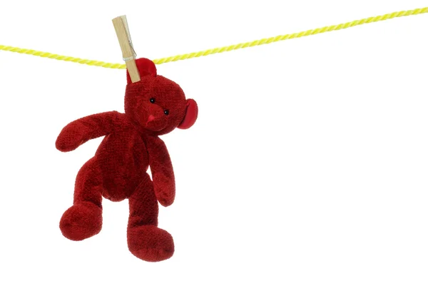 stock image Red teddy bear on clothes line