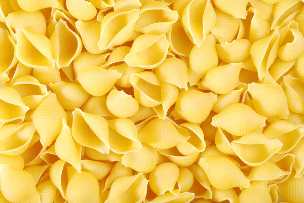 Shell pasta — Stockfoto