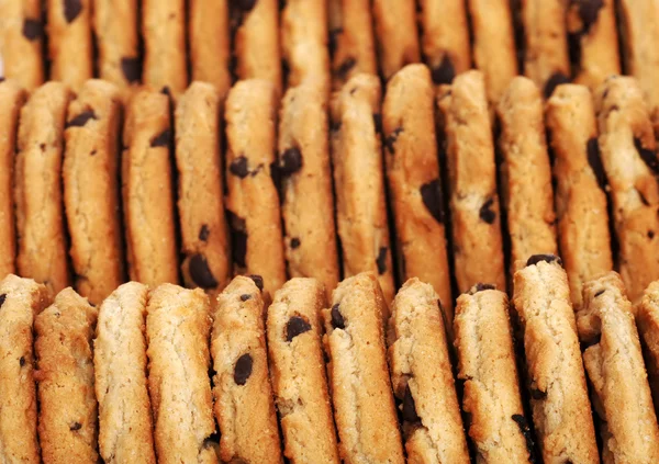 Rows of chocolate chip cookies — Stock Photo, Image