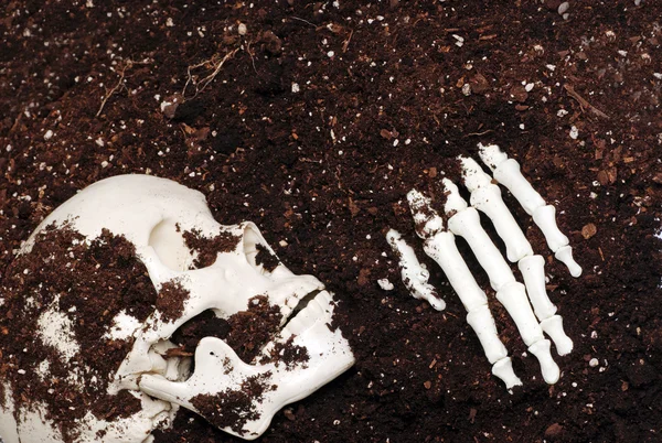 Скелет в грязи — стоковое фото