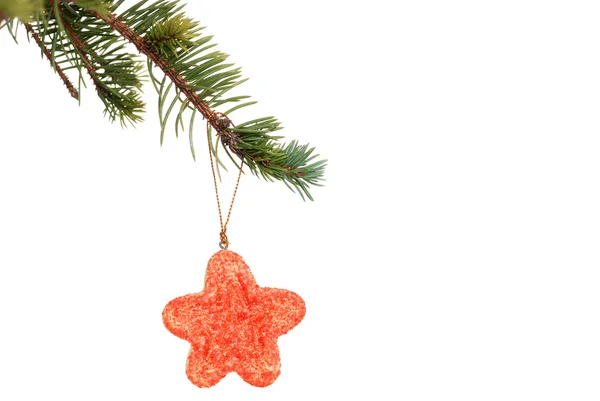 Red star cookie hanging on christmas tree branch — Stock Photo, Image
