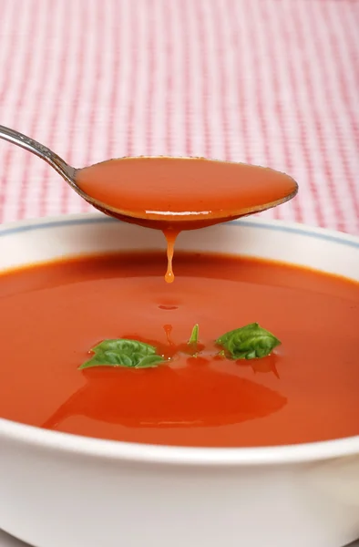 Tomatsoppa droppande med basilika — Stockfoto