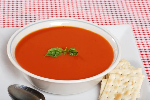 Sopa de tomate com manjericão e biscoitos — Fotografia de Stock