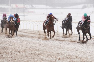 Winter horse racing clipart