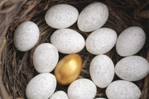 stock image A golden egg