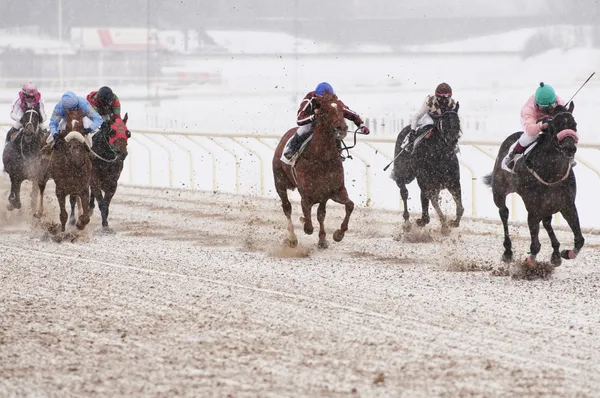 Inverno corse di cavalli Foto Stock Royalty Free