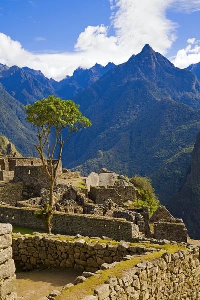 Häuser von Machu Picchu — Stockfoto