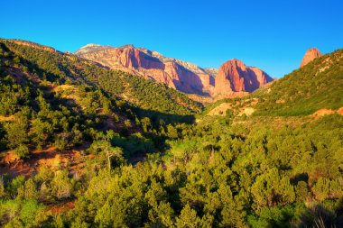 Zion national park